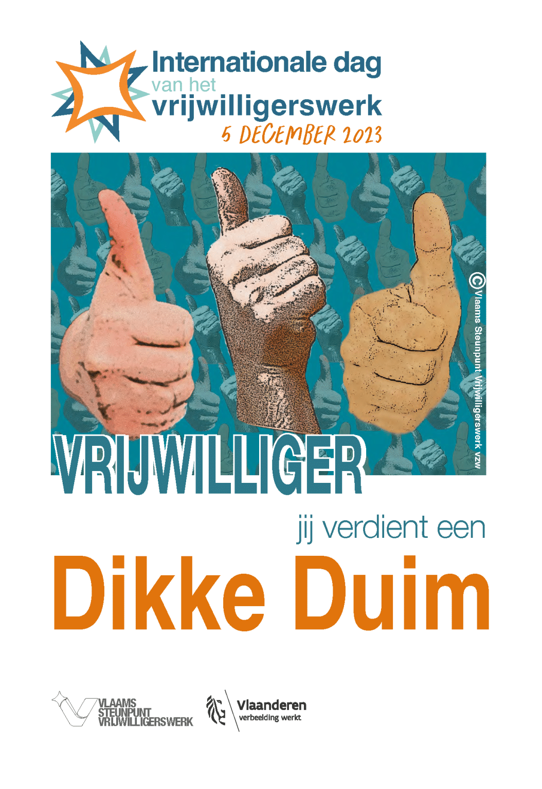 Internationale Dag van de Vrijwilliger Vlaams Steunpunt Vrijwilligerswerk